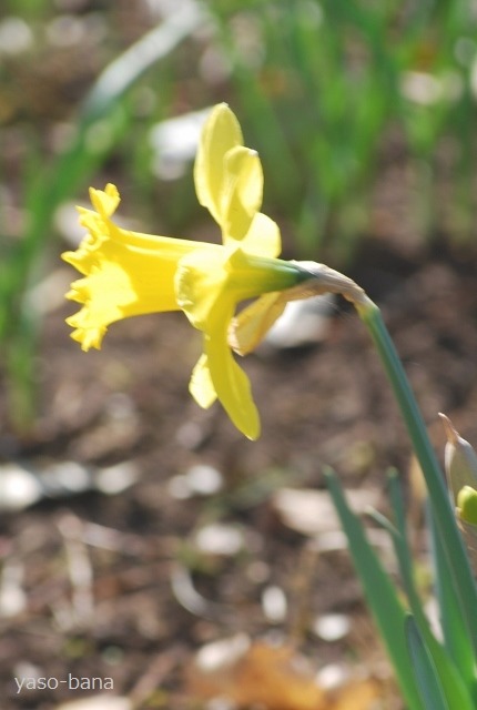 e0025300_2054180.jpg