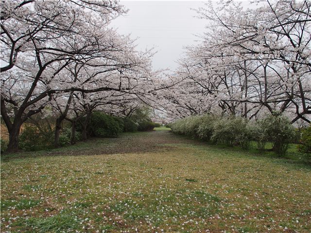 f0224100_20262825.jpg