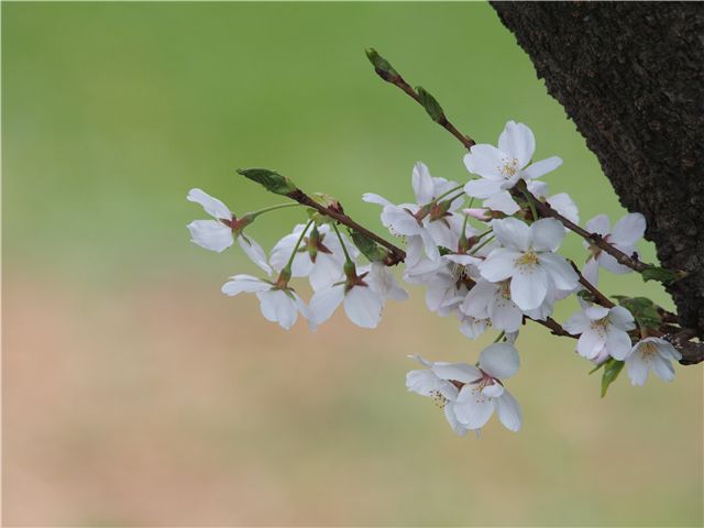 f0224100_2027188.jpg