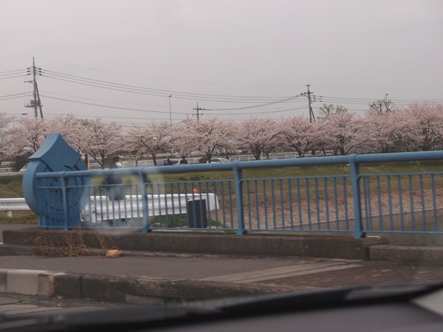 e0018604_22324765.jpg