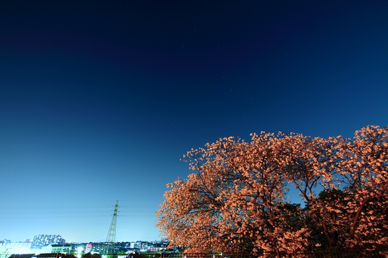 a0097006_23134864.jpg
