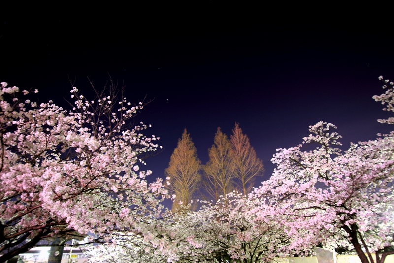 a0097006_2341472.jpg