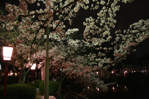 b0245008_22515486.jpg