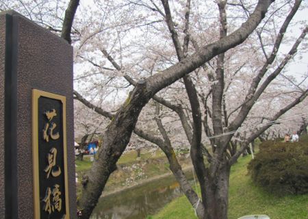 b0051109_10115136.jpg