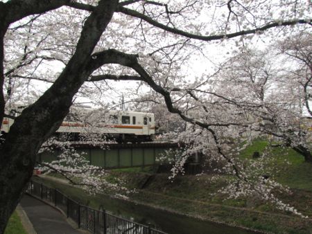 b0051109_1012580.jpg