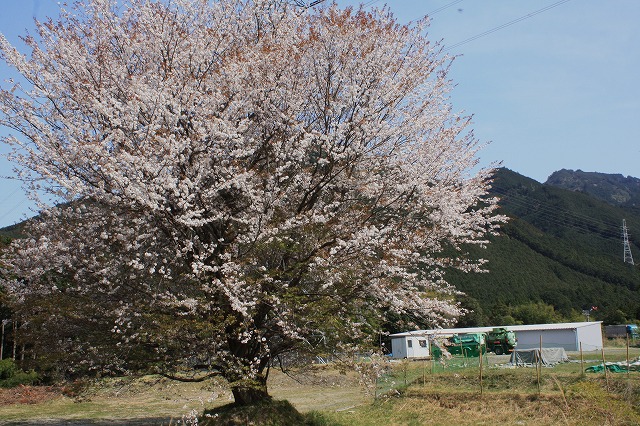 d0154609_16114566.jpg