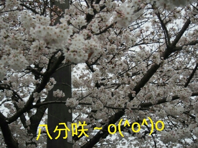 f0239713_21284640.jpg