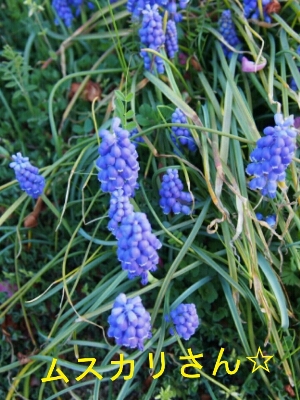 f0239713_2131428.jpg