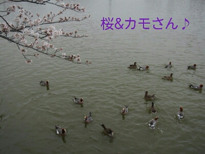 f0239713_21332414.jpg