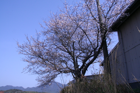 c0197220_17363663.jpg