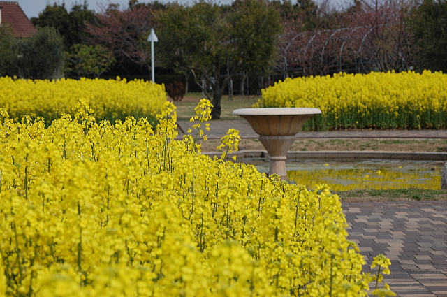 f0248120_2212468.jpg