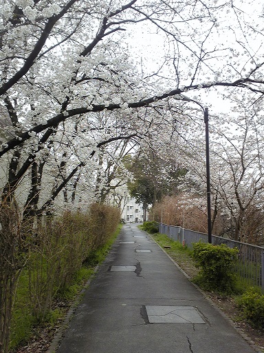 c0280322_042283.jpg