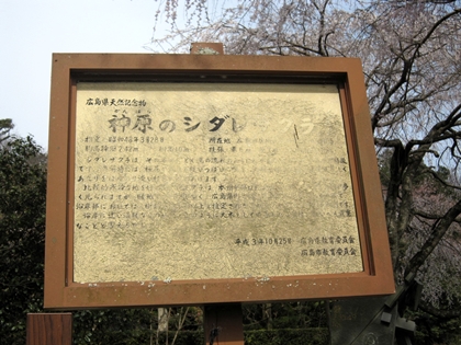 a0105023_19575845.jpg