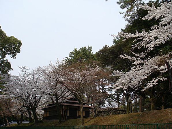 b0068423_21265261.jpg