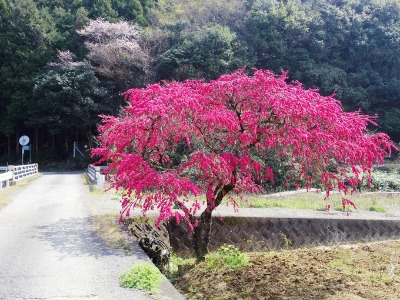f0213825_14275936.jpg