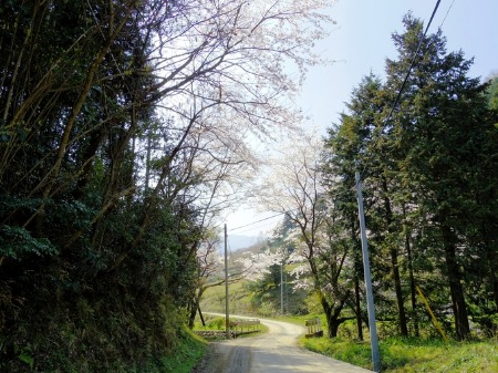 f0213825_1433354.jpg