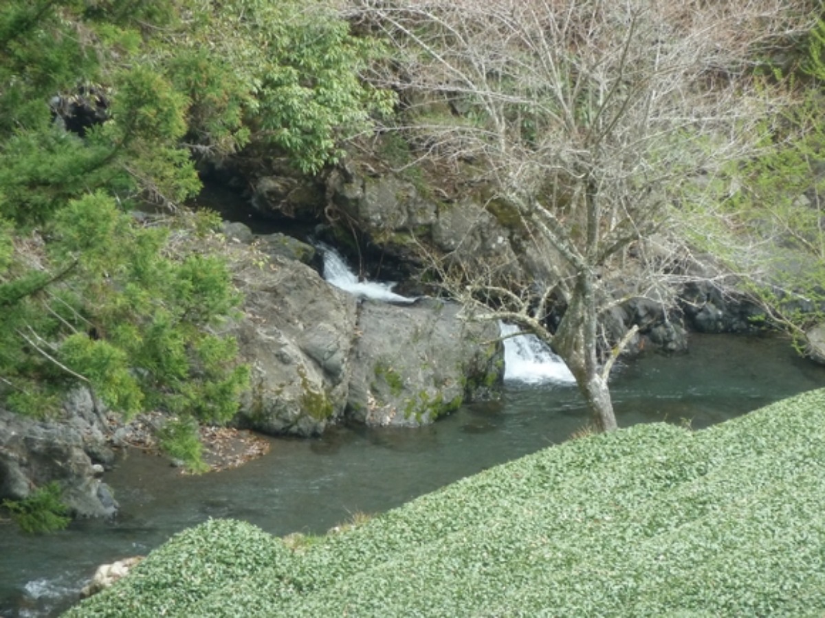 e0033229_20454583.jpg