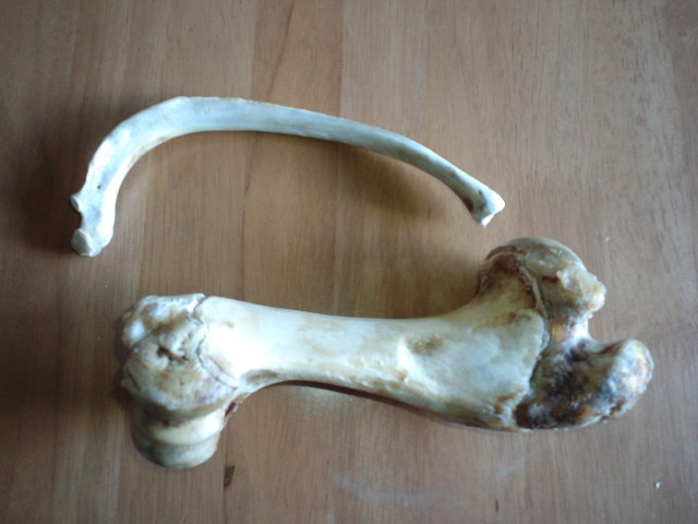 c0236632_8282784.jpg