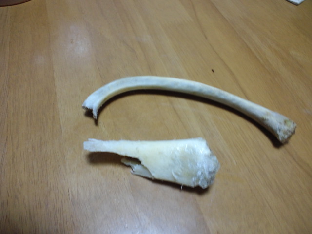 c0236632_857235.jpg