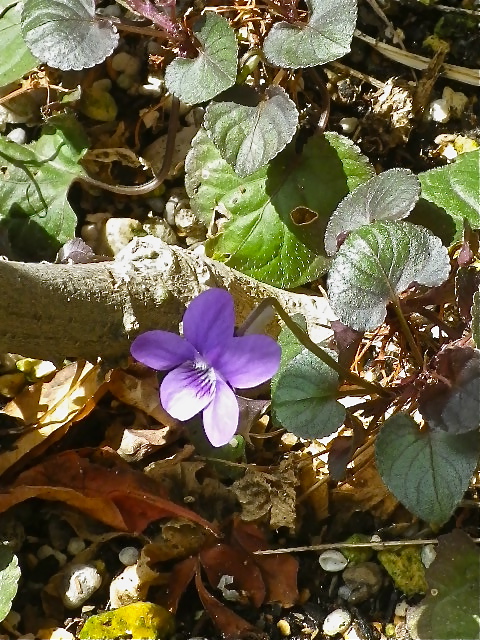b0027736_200214.jpg