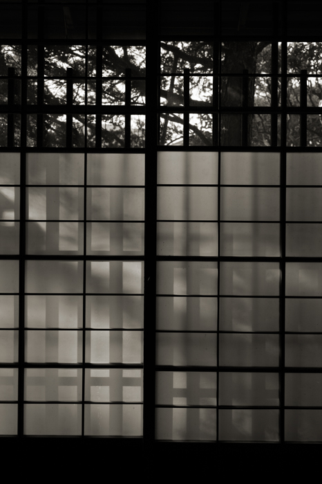 a0049639_21404572.jpg