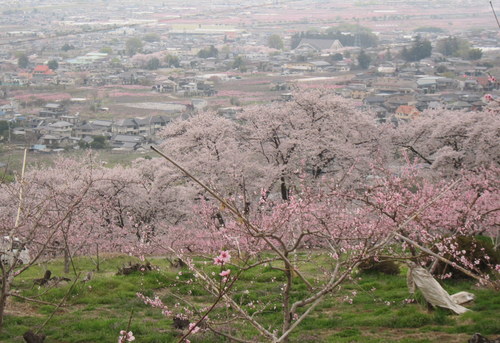 b0178339_23415843.jpg