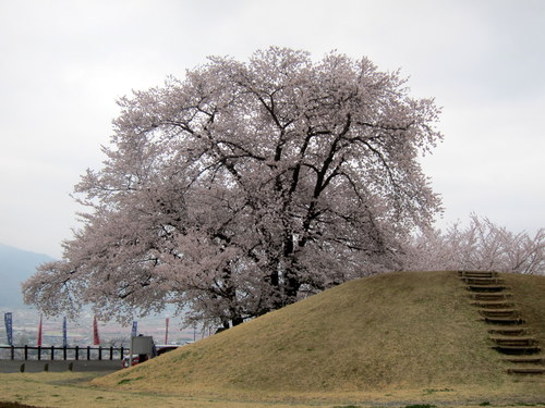 b0178339_23454836.jpg