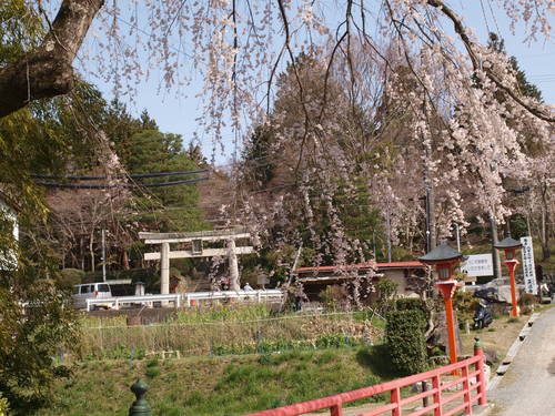 d0038545_1943490.jpg
