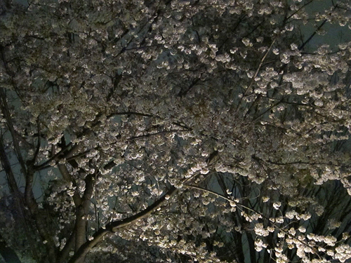 f0166645_19421873.jpg