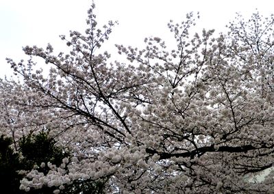 b0220251_21123291.jpg