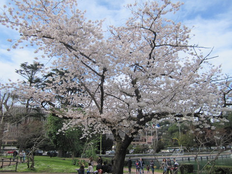 c0206352_6284630.jpg