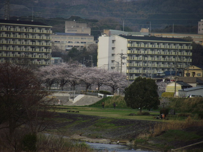 b0142158_23232195.jpg