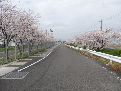 a0168865_6274526.jpg