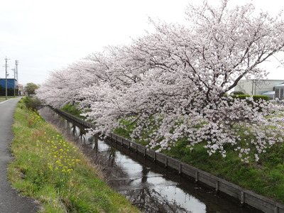 a0168865_6281644.jpg
