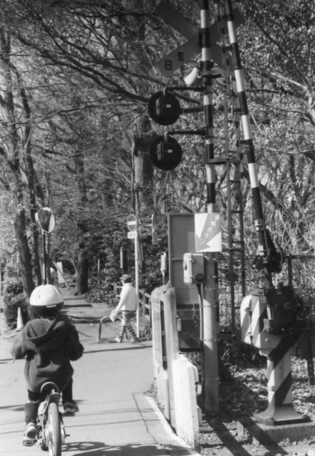c0082066_17214575.jpg
