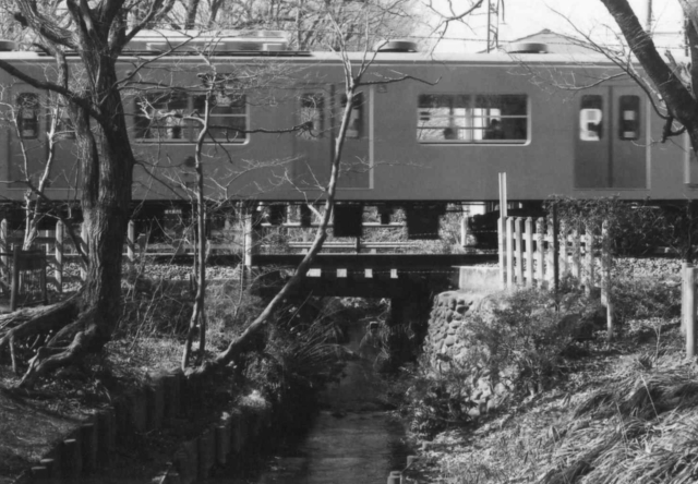 c0082066_17221592.jpg