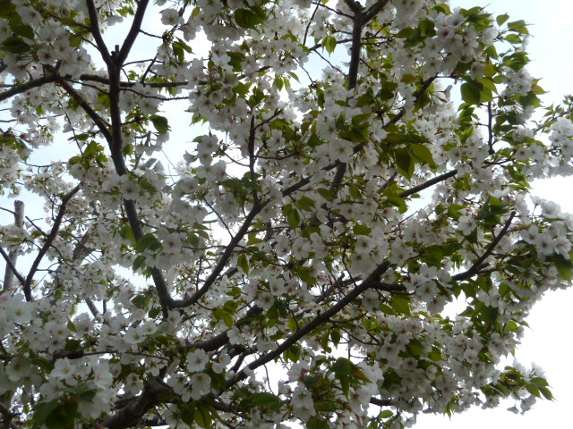 e0278968_22503441.jpg