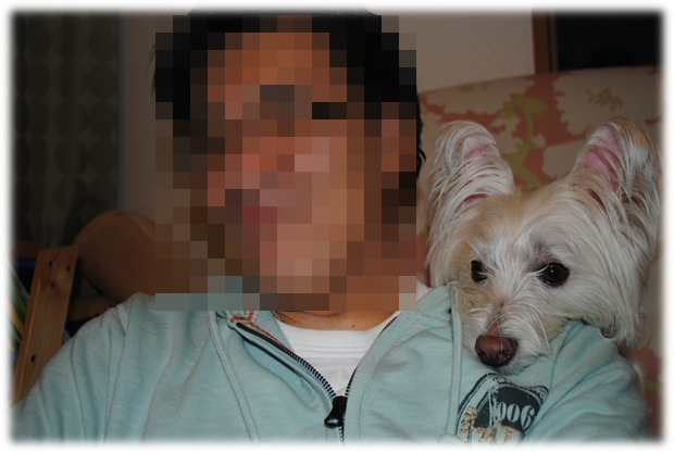 b0242873_22483378.png