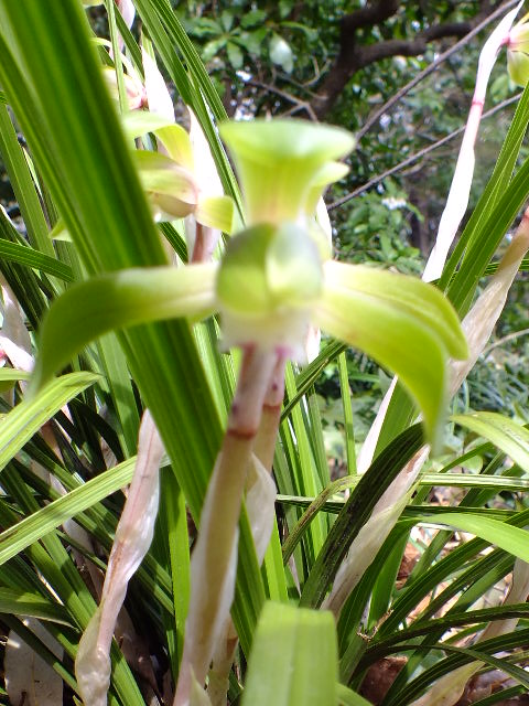 e0145782_5162690.jpg