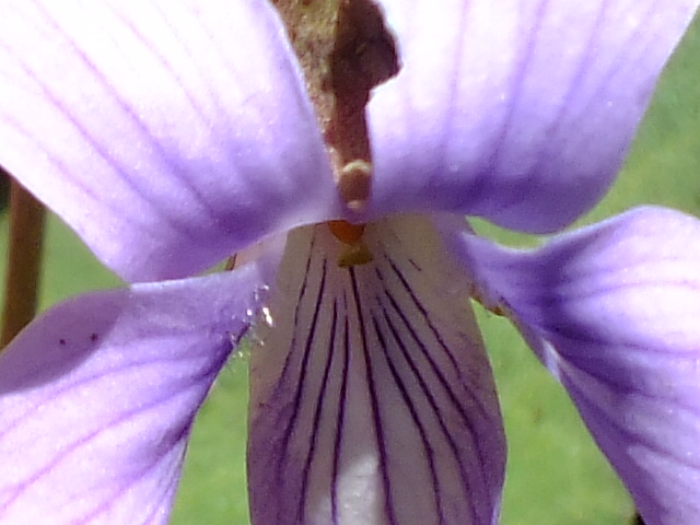 e0145782_572218.jpg