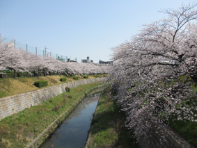 e0060483_22402289.jpg