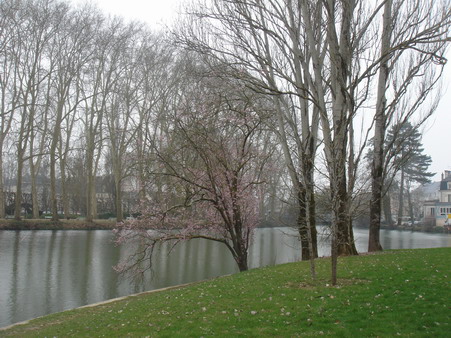 a0247585_414964.jpg