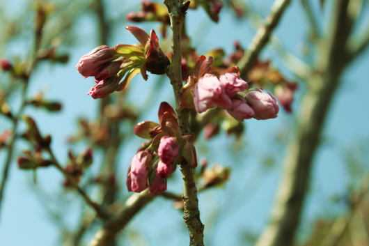 f0257085_1213297.jpg