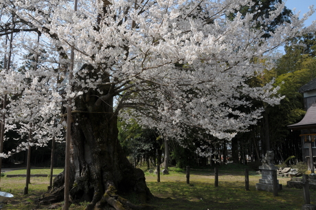 d0234293_1549829.jpg