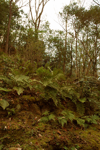 f0125895_2129371.jpg