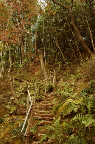 f0125895_21305577.jpg