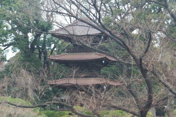 d0080998_225644.jpg