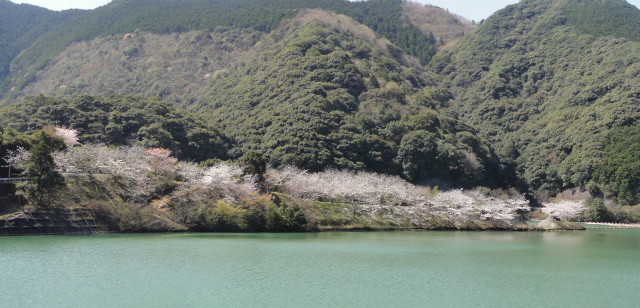 c0125501_97241.jpg