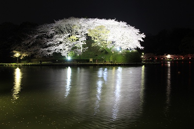 a0188405_1036335.jpg