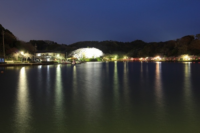 a0188405_10373820.jpg